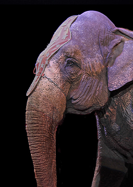  Столешница в Нукусе Каракалпакистане - Nukusda Stoleshnitsa НУКУСДА СТОЛЕШНИЦА image