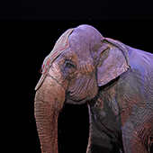  Столешница в Нукусе Каракалпакистане - Nukusda Stoleshnitsa НУКУСДА СТОЛЕШНИЦА image