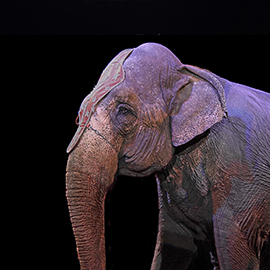  Столешница в Нукусе Каракалпакистане - Nukusda Stoleshnitsa НУКУСДА СТОЛЕШНИЦА image