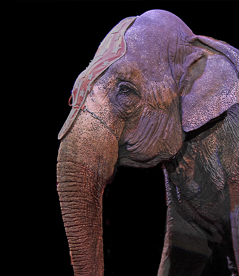  Столешница в Нукусе Каракалпакистане - Nukusda Stoleshnitsa НУКУСДА СТОЛЕШНИЦА image