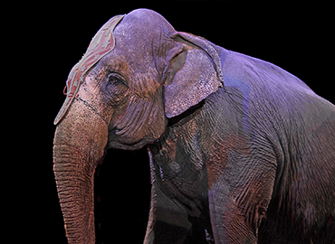  Столешница в Нукусе Каракалпакистане - Nukusda Stoleshnitsa НУКУСДА СТОЛЕШНИЦА image